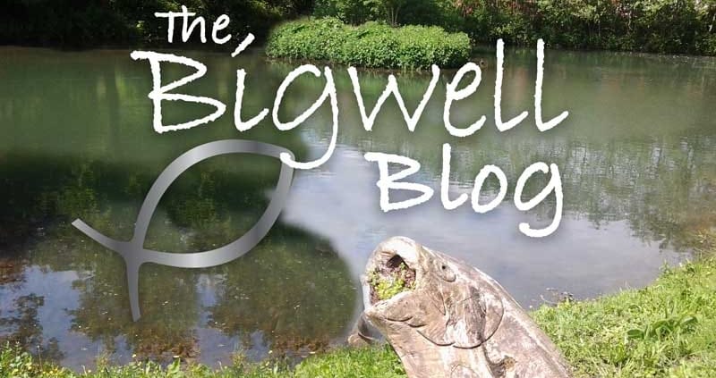 Bigwell-Blog