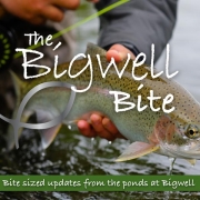 The Bigwell Bite
